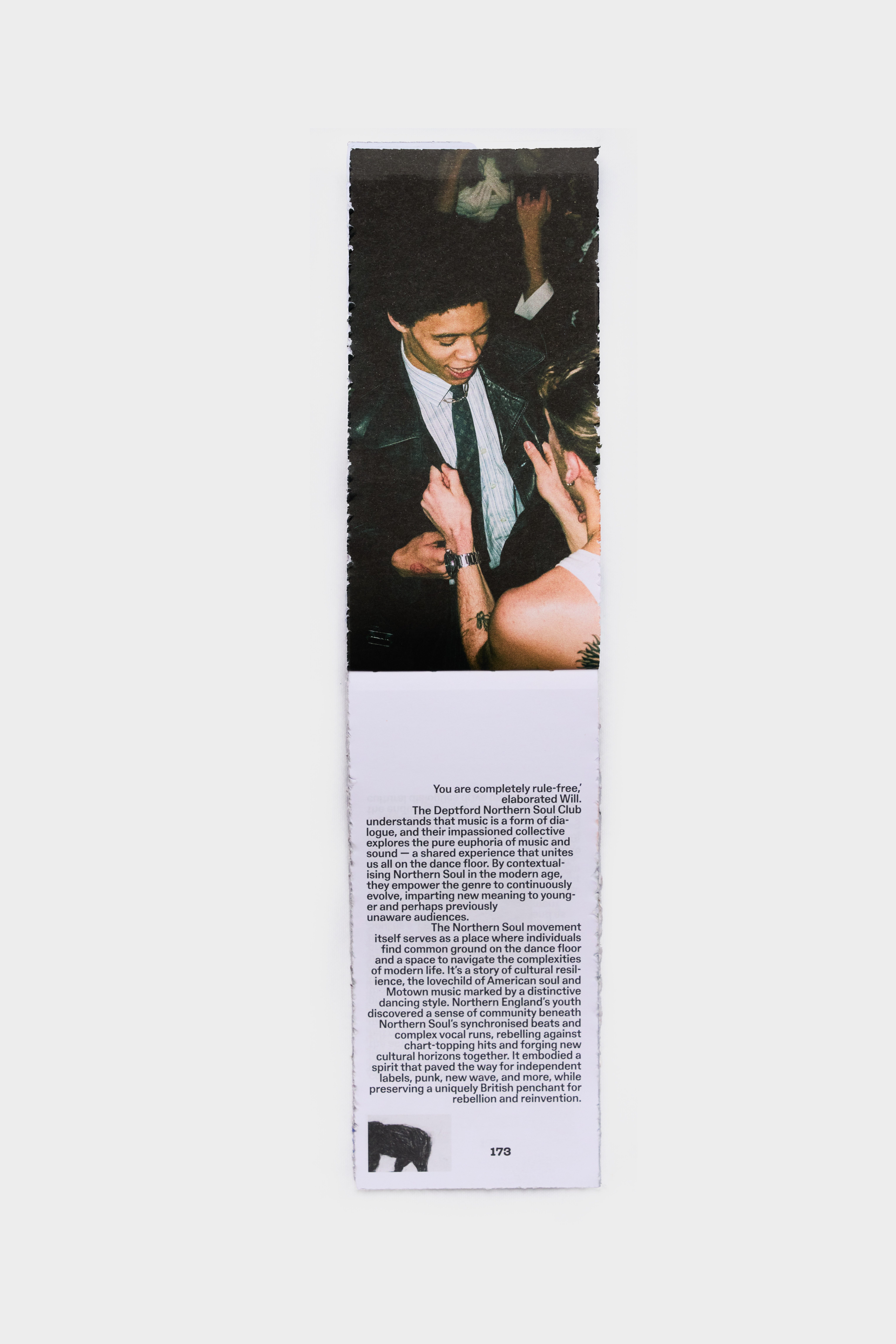Issue 05: Underbelly