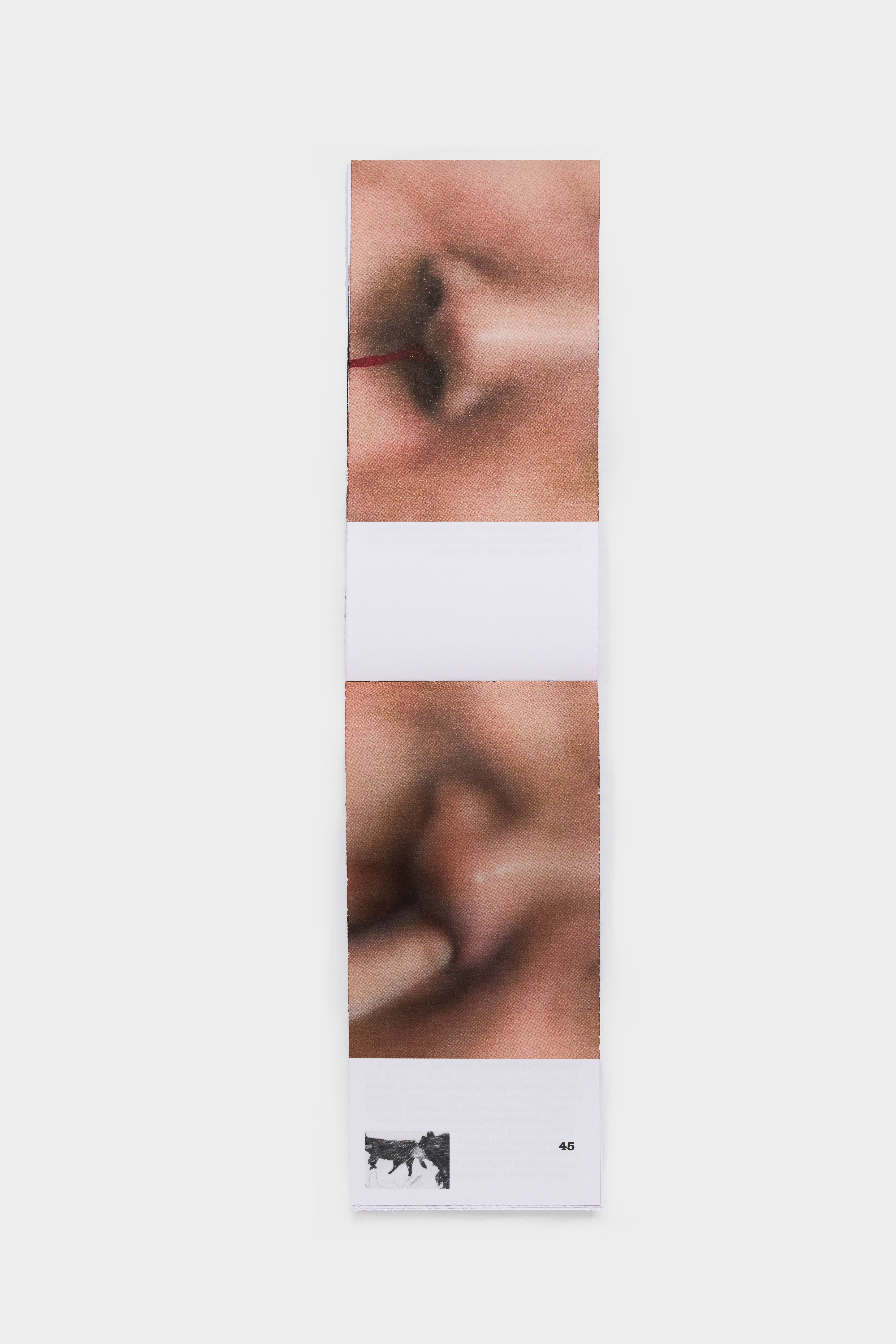 Issue 05: Underbelly